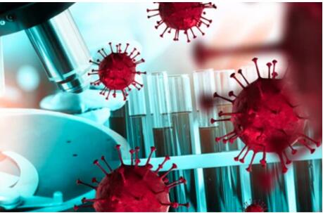 Antibody Development Technology Service