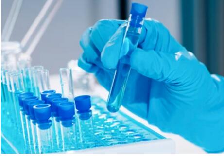 Custom Antibody Capabilities