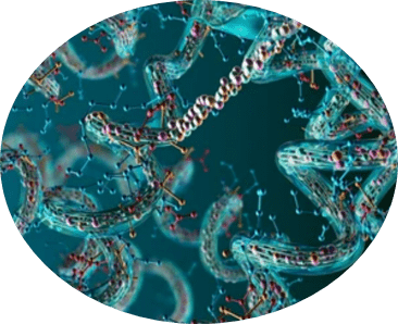 peptides