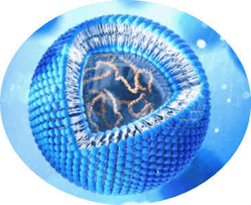 lipids