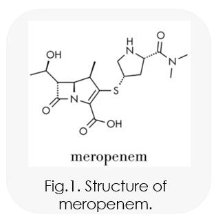 Carbapenem Series Products