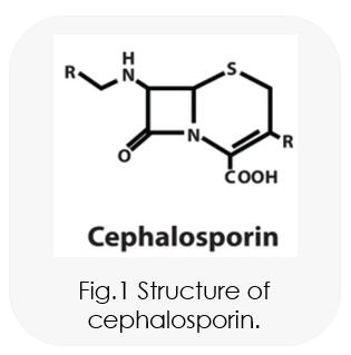 Cephalosporin Series Products