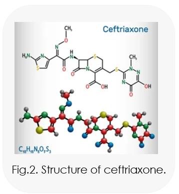 Types of Cephalosporins