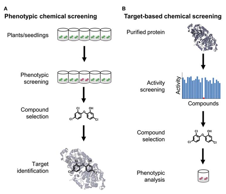 Comparison of forward and reverse chemical screening.