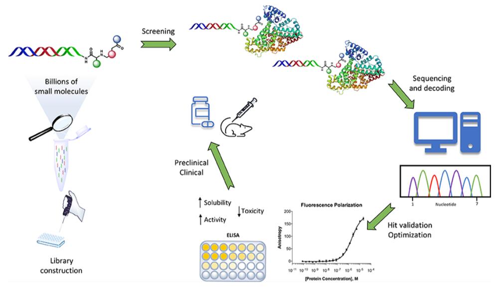 Illustration of the DEL for drug discovery research.