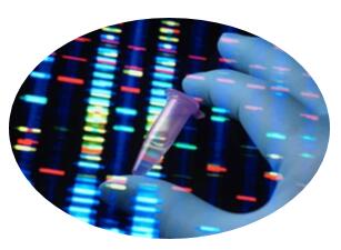 comprehensive DNA-Encoded Library (DEL) service