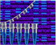 DNA-Encoded Library (DEL) Screening Service