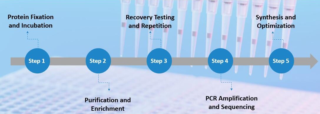 Process of DNA-Encoded Library (DEL) Screening