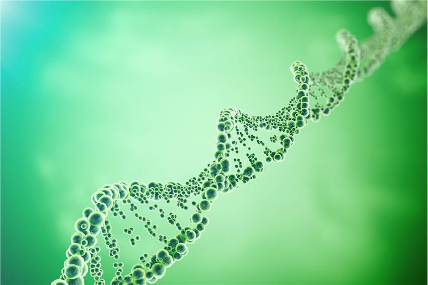 mRNA Vaccine Bioanalysis Platform