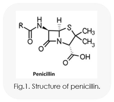 Penicillin Series Products
