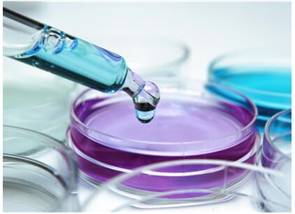 Rare Cell Analysis Service