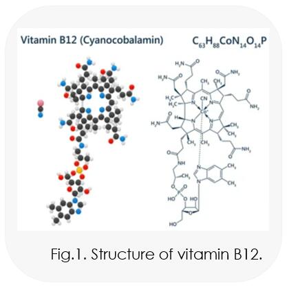 Vitamin B12 Series Products
