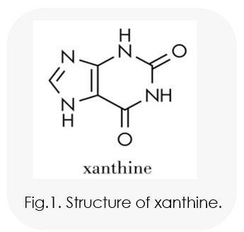Xanthine Series Products