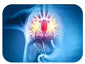 Applications of Xanthine Derivatives in Disease Treatment