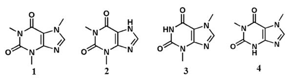 Chemical structure of xanthine derivatives.